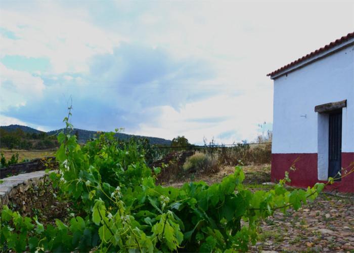 Casa Rural El Abuelo Alonso La Codosera Екстериор снимка